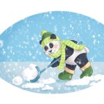 Panda gaat sneeuwschuiven